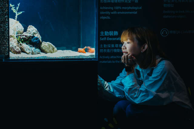 视线得以与生物齐平的距离-近距离观察每种生物的特殊习性