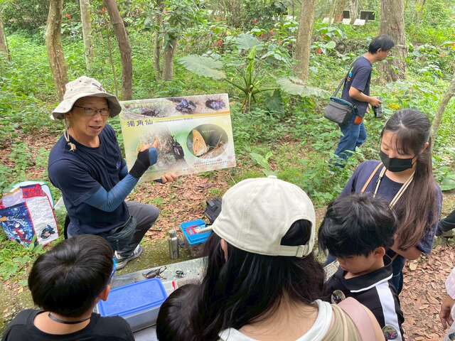 獨角仙解說