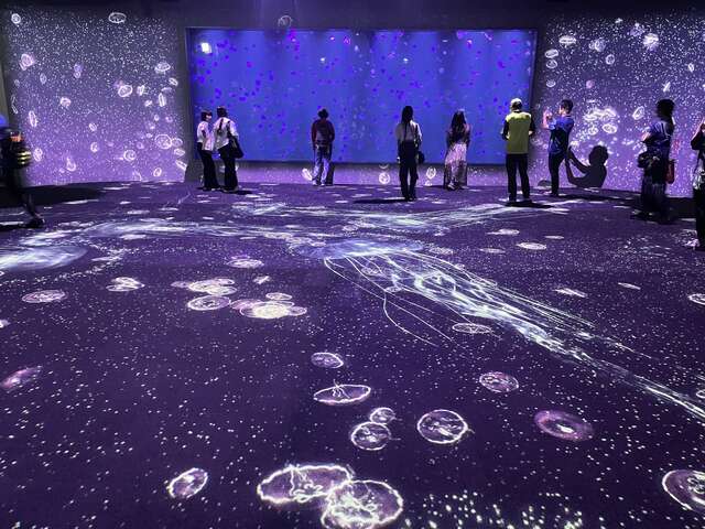 民眾參觀台中海洋館