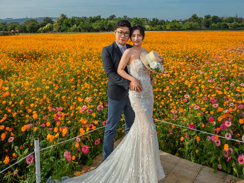 2025新社花海暨台中国际花毯节绝美婚纱摄影