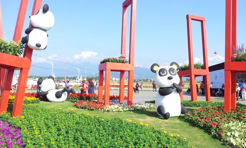 新社花海(農委會種苗改良繁殖場第二農場)-熊貓