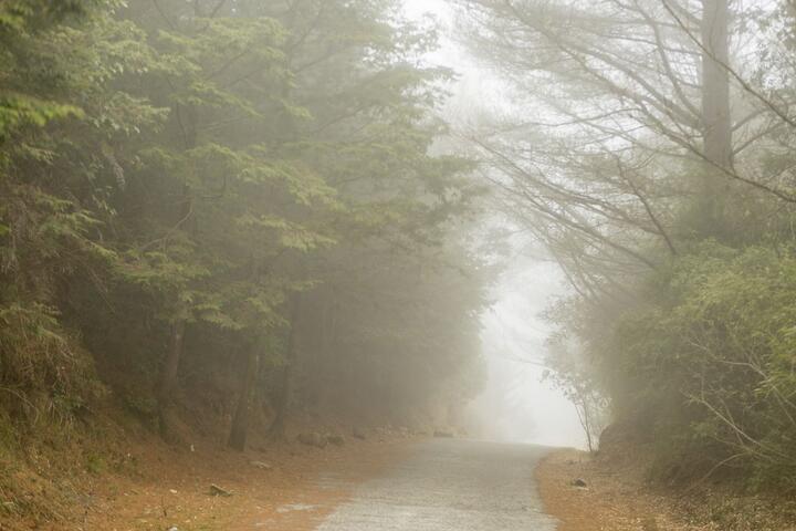 大雪山森林遊樂區-霧氣