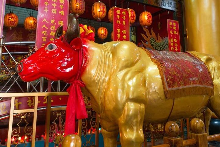 台中南天宮-牛