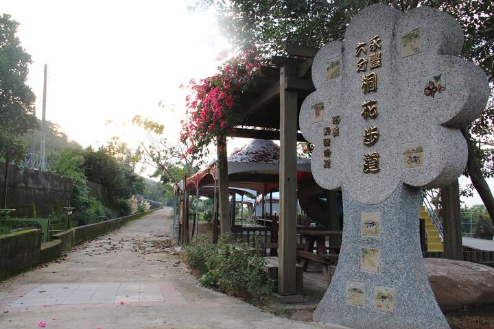 용펑춘 오동나무꽃 산책로