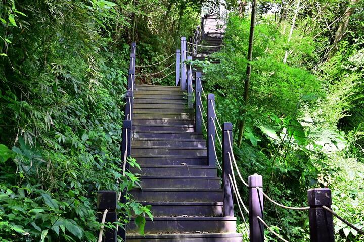 埋伏坪登山步道-阶梯道