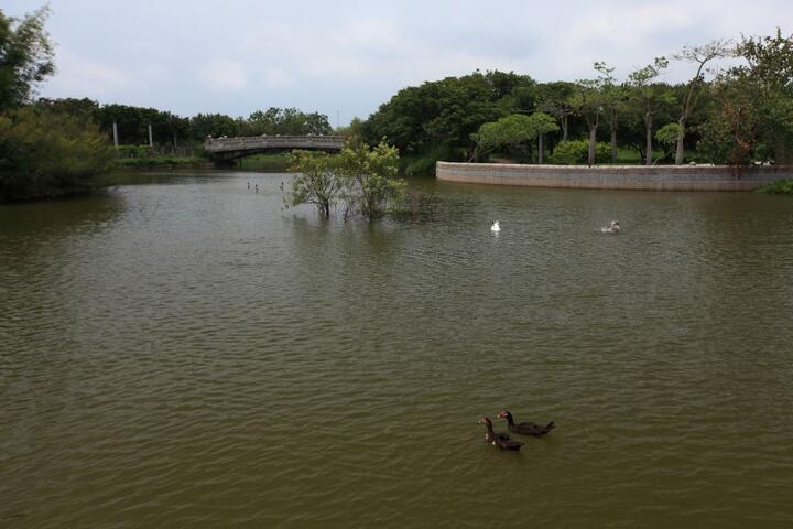 Taichung Metropolitan Park