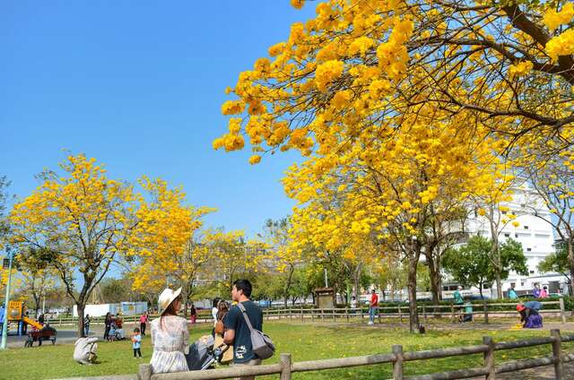 messageImage_1747884996819_0