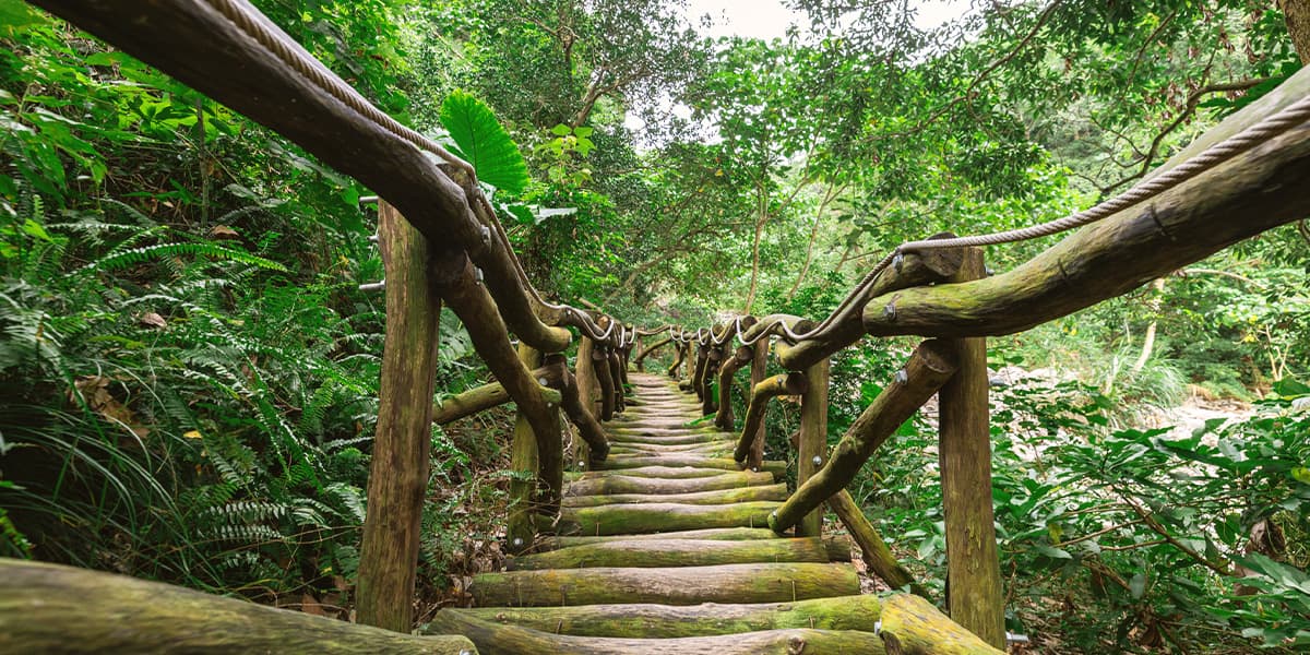 大坑3-1號登山步道