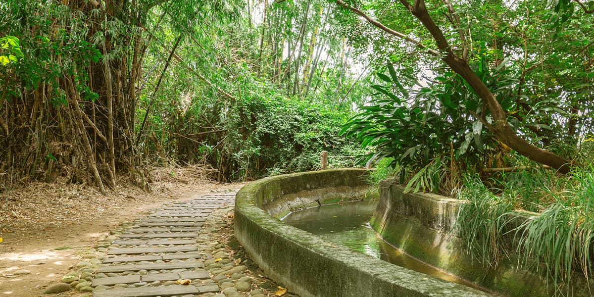 知高圳登山步道