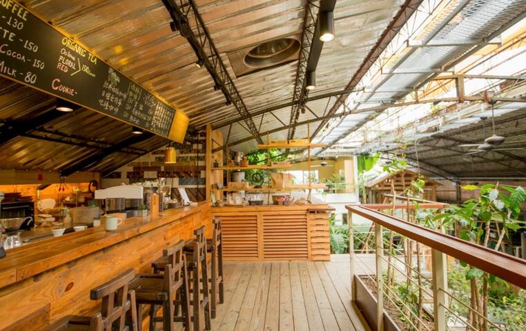 货柜与二手材料打照的雨林咖啡馆