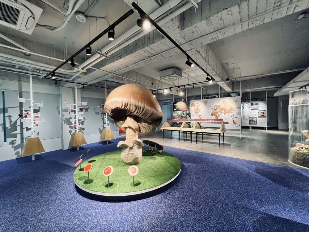 台湾菇类产业知识百科！世界唯二的菇类博物馆在台中等你来探索！