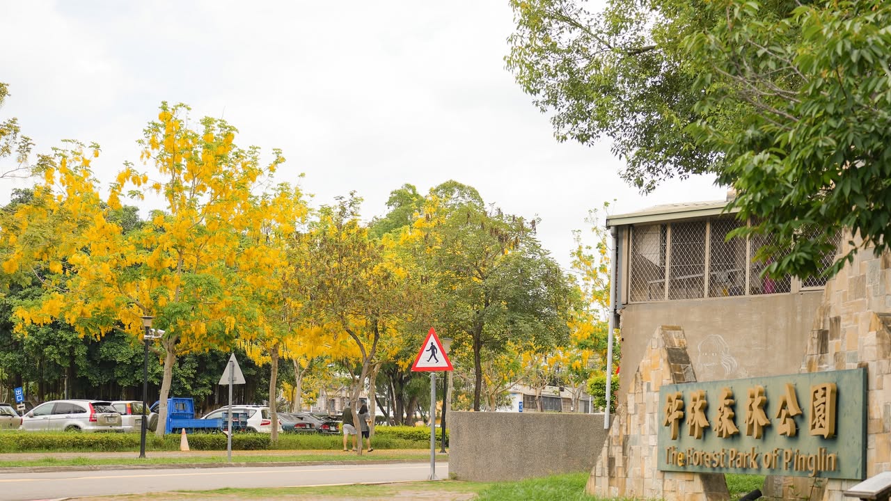 ＼📸 阿勃勒花季开跑，最美打卡景点大公开／