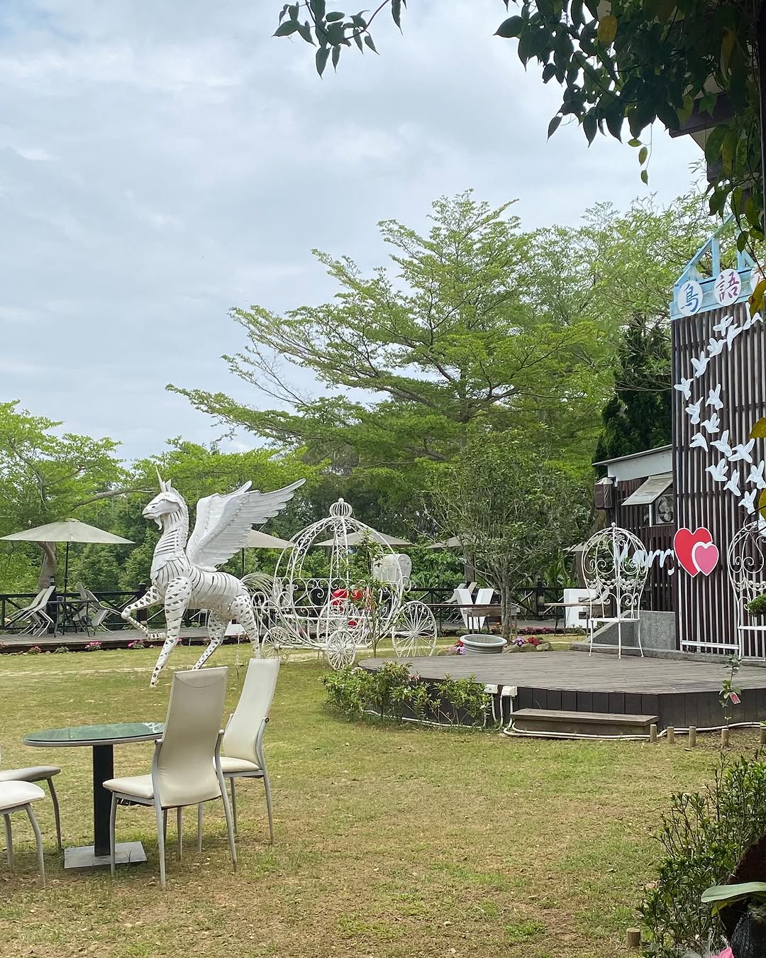 \ 台中版森林王国,动物与自然共处的秘境🌲 /