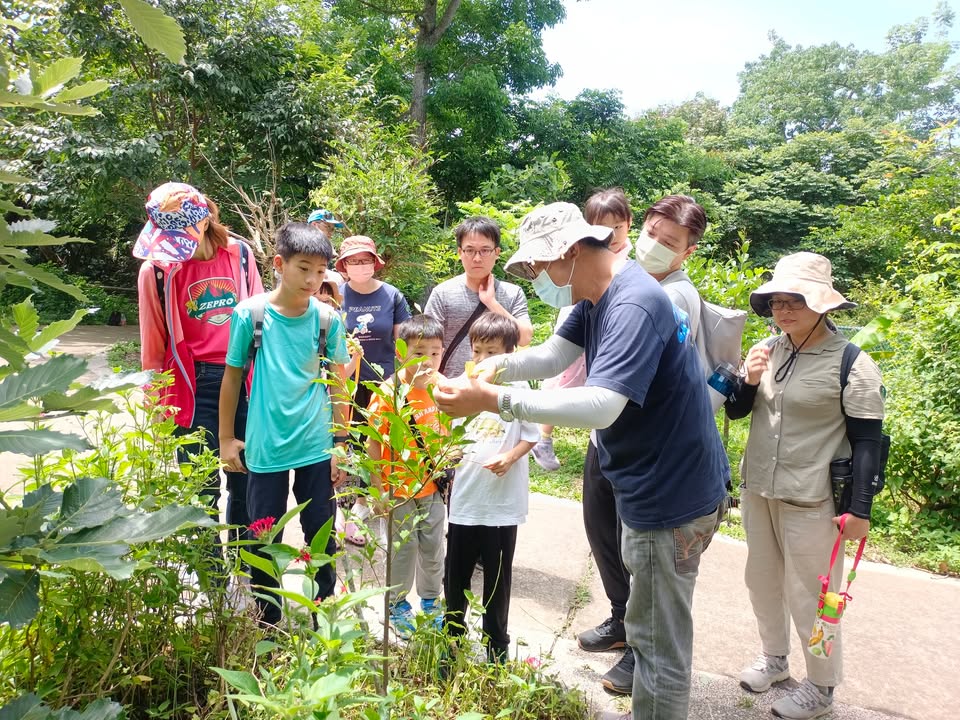 「蝶」起国际友谊!