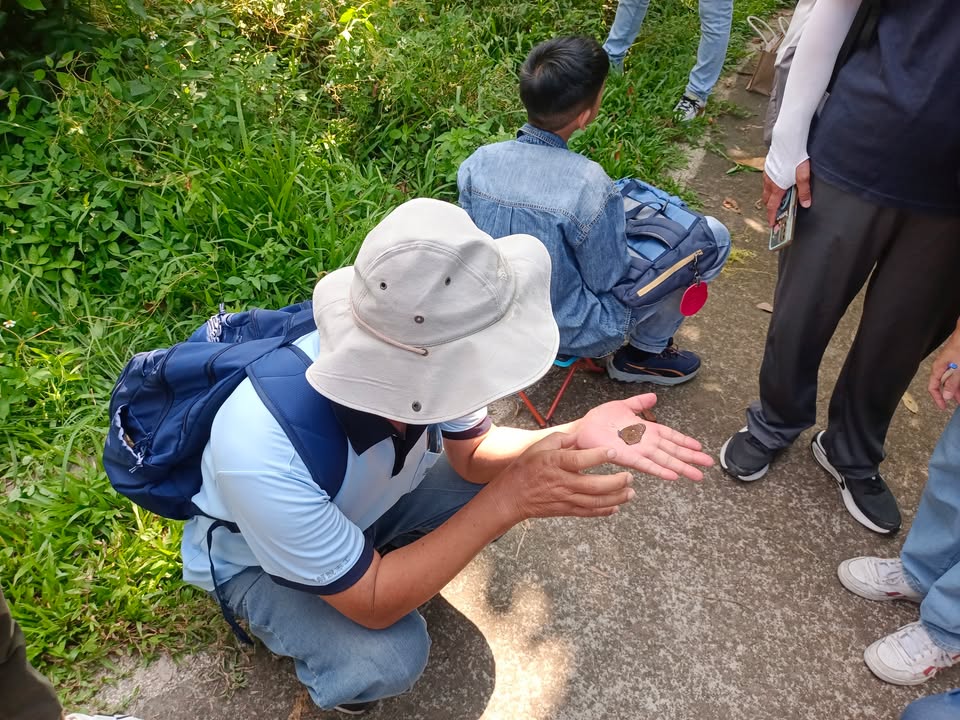 臺中市風景區管理所攜手「台灣紫斑蝶生態保育協會」，推動大坑生態園區友善生物多樣性計畫