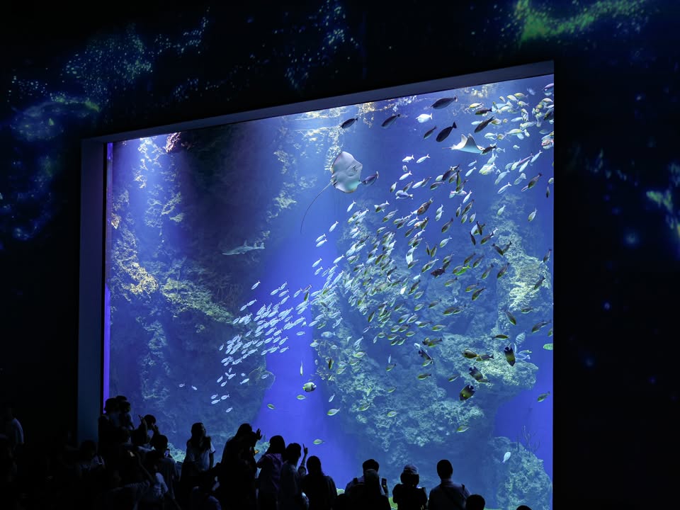 海洋控快收藏🌊台中海洋館館內亮點懶人包