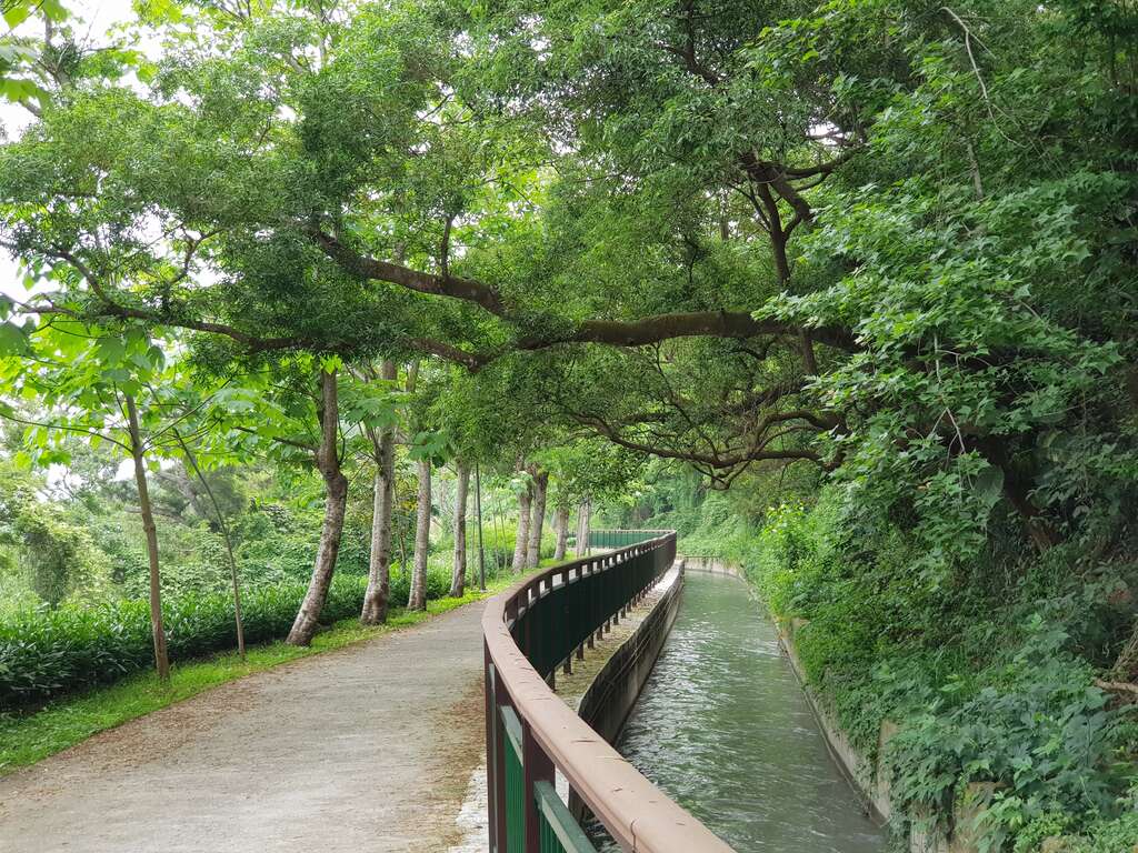 秋风里的收成季，台中最纯粹的幸福滋味🍂