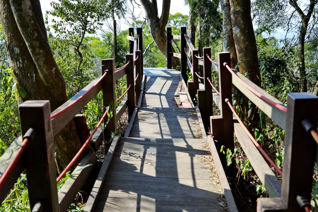 🚶‍♂️🌧 風災重創登山步道！市府積極啟動復建作業