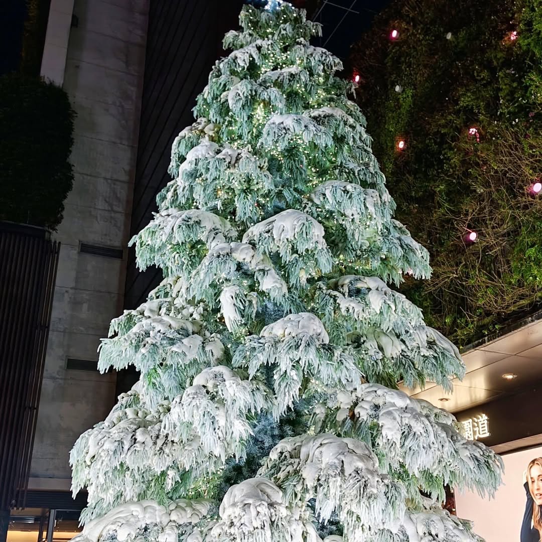 聖誕倒數歡樂12月來臨🎄台中熱門景點全攻略