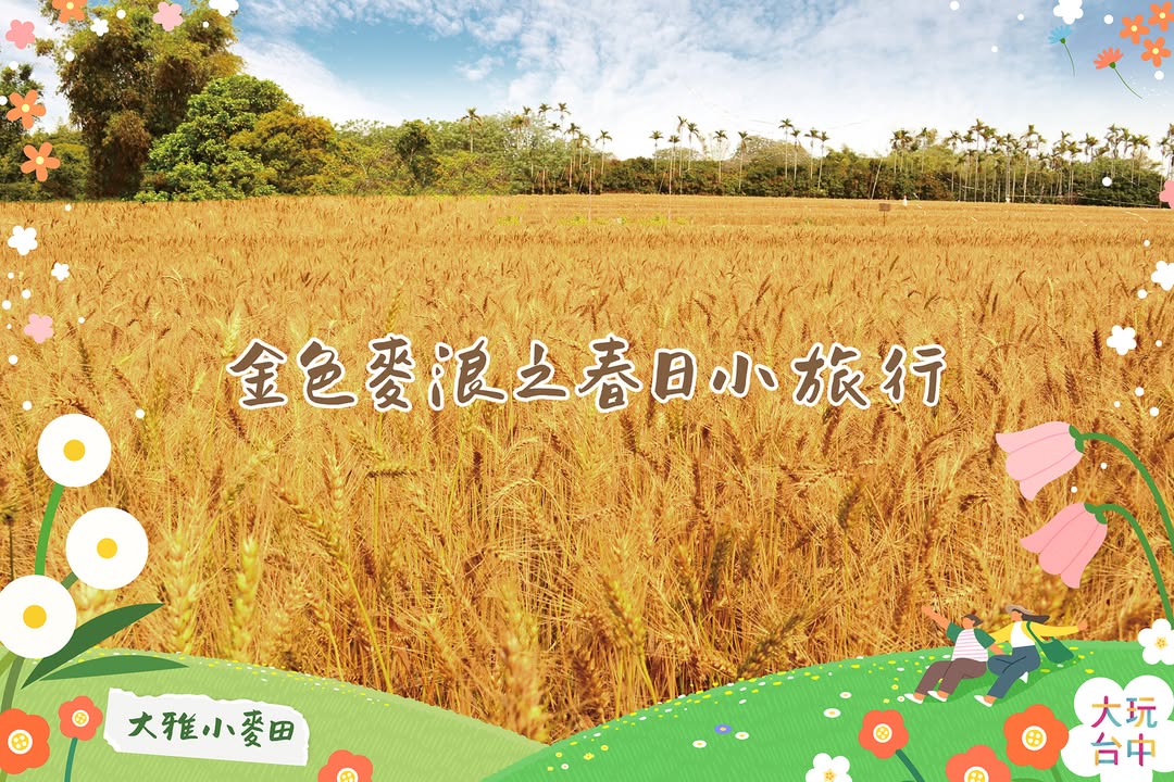 春日限定🌾大雅金色麥浪1日順遊全攻略