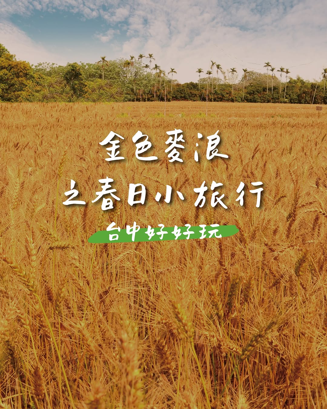 三月限定美景🌾跟著 #玩編 玩透大雅順遊地圖 ✨ 