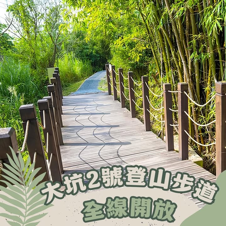 🌿台中山林好消息！#大坑2号登山步道 全线开放🌿