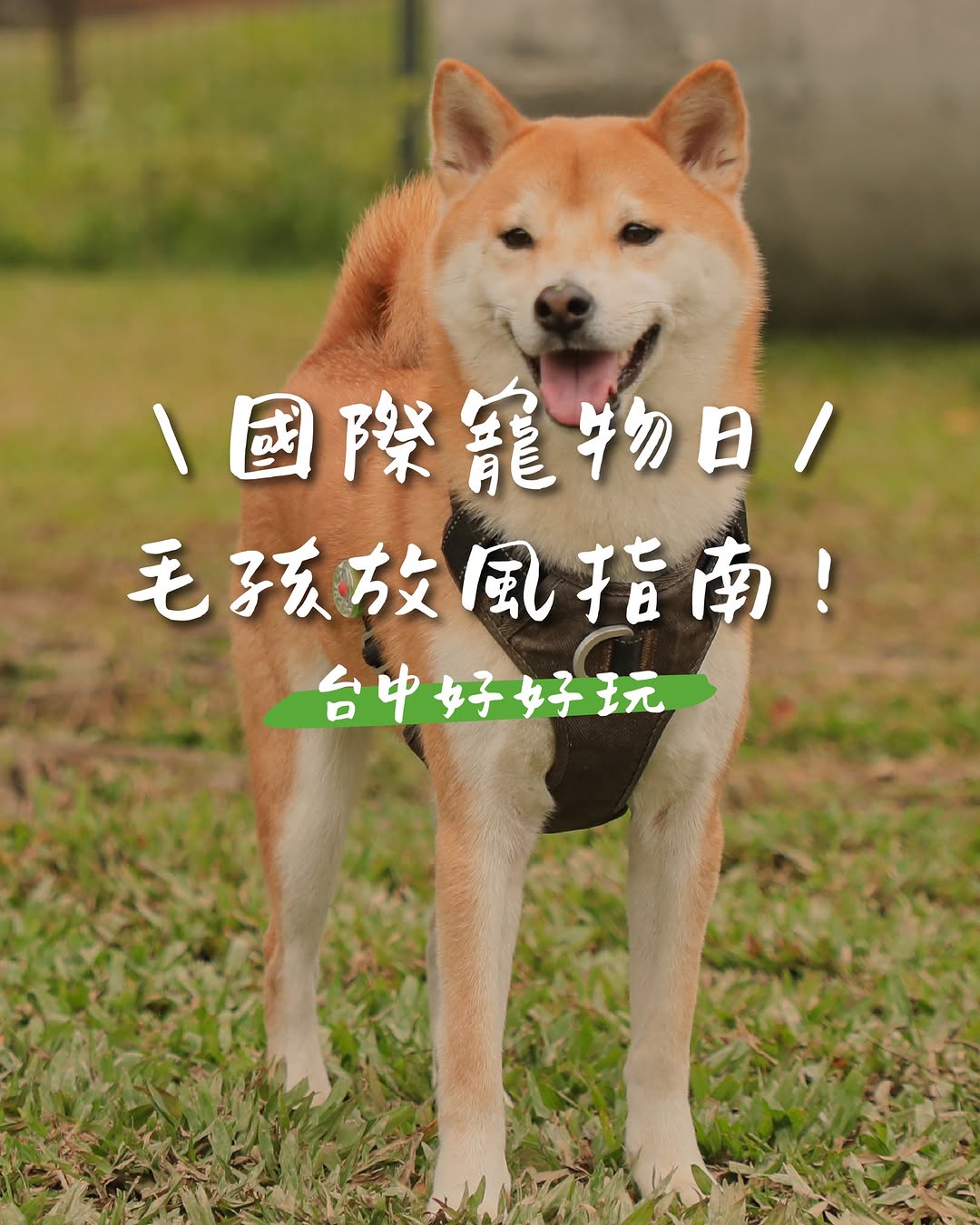 Happy National Pet Day🐶🐱