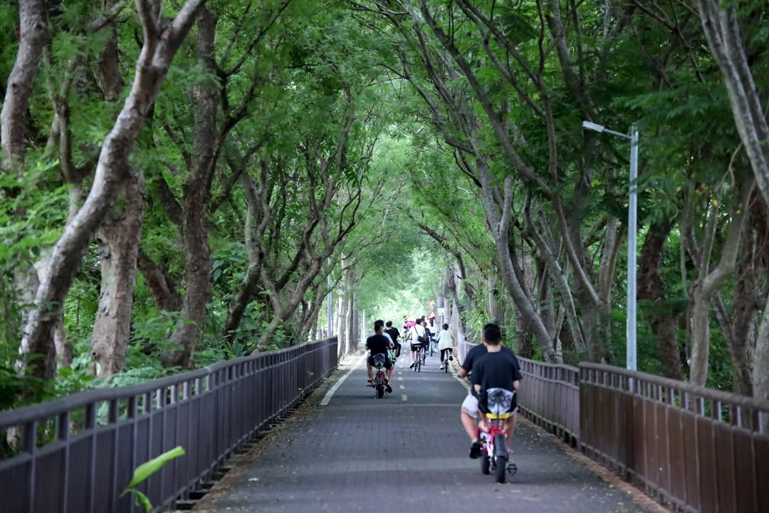 暑假到來,想找個適合全家大小一起運動、親近大自然的好去處嗎?台中市熱門自行車路線「東豐自行車綠廊」完成設施優化工程囉!