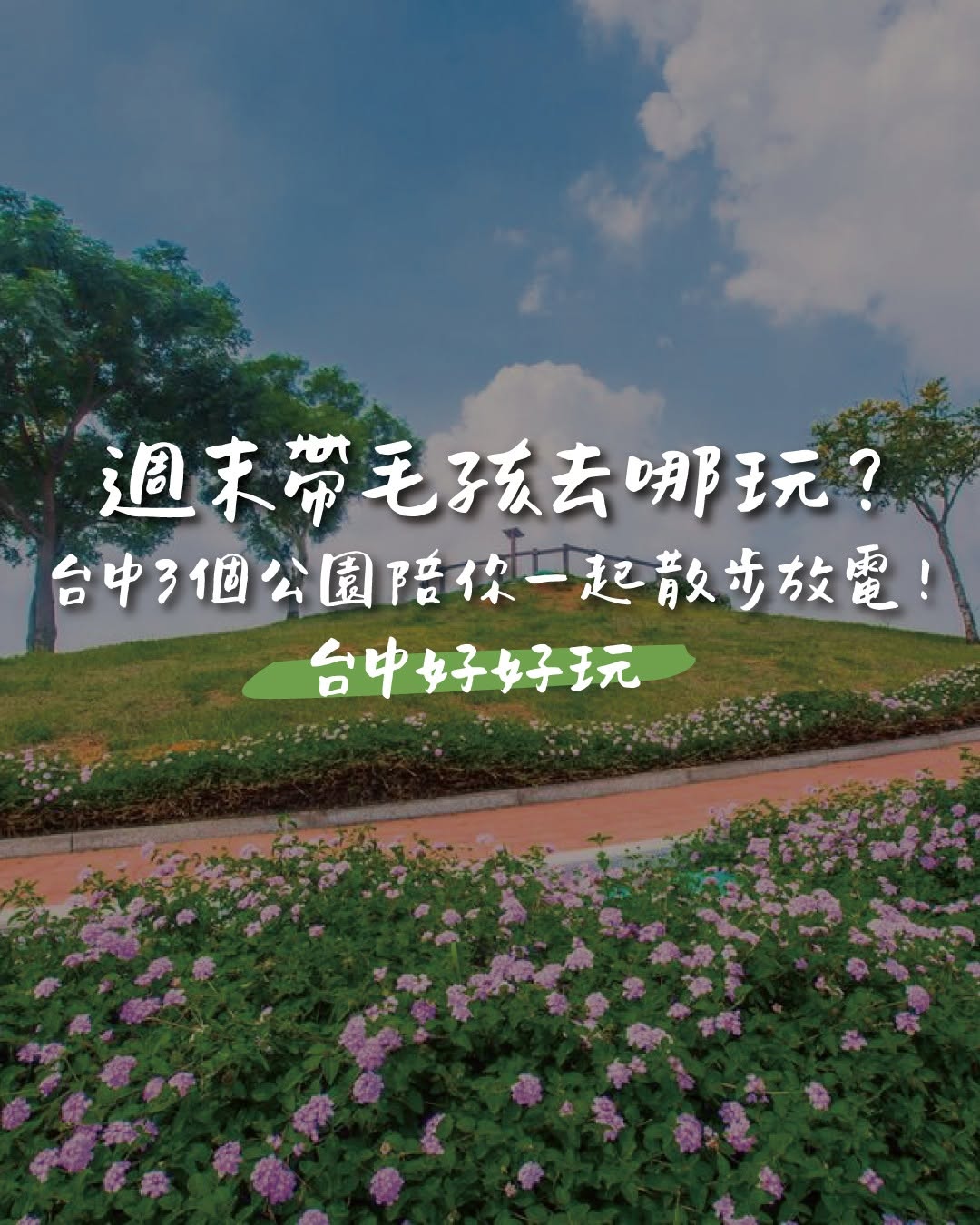 今天就带毛孩出去放放风吧 ૮₍ ˶• ༝ •˶ ₎ა 🐾