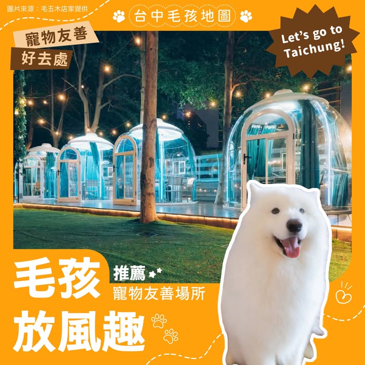 🐾 台中毛孩地圖｜推薦友善寵物場所