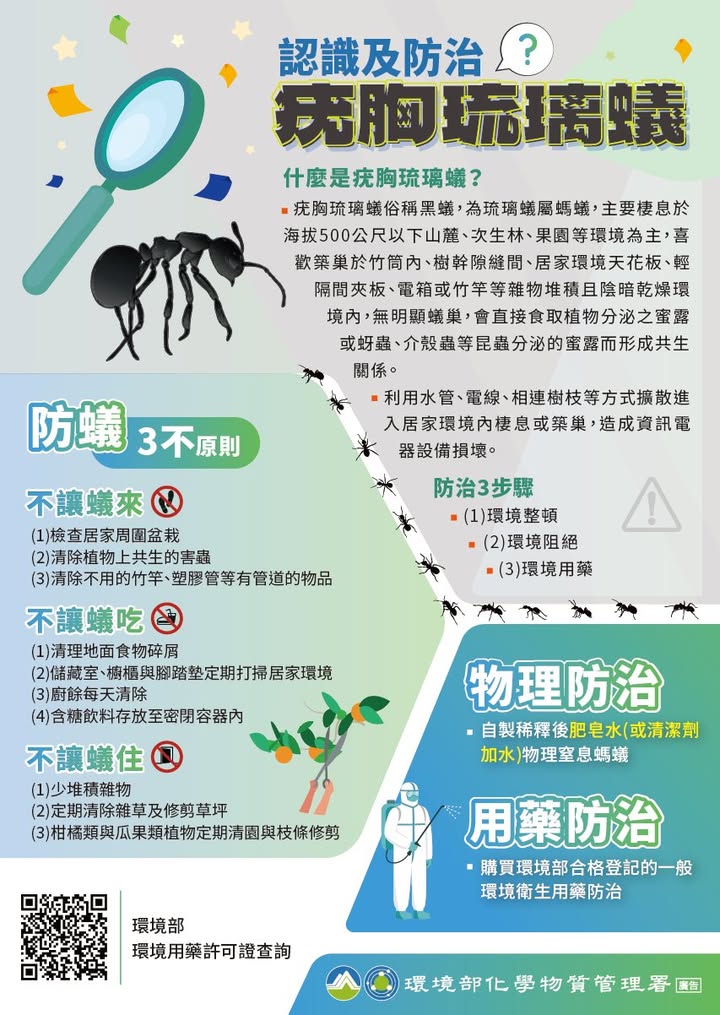 📢 夏日出遊小提醒！認識疣胸琉璃蟻，一起守護戶外環境 🌿🐜