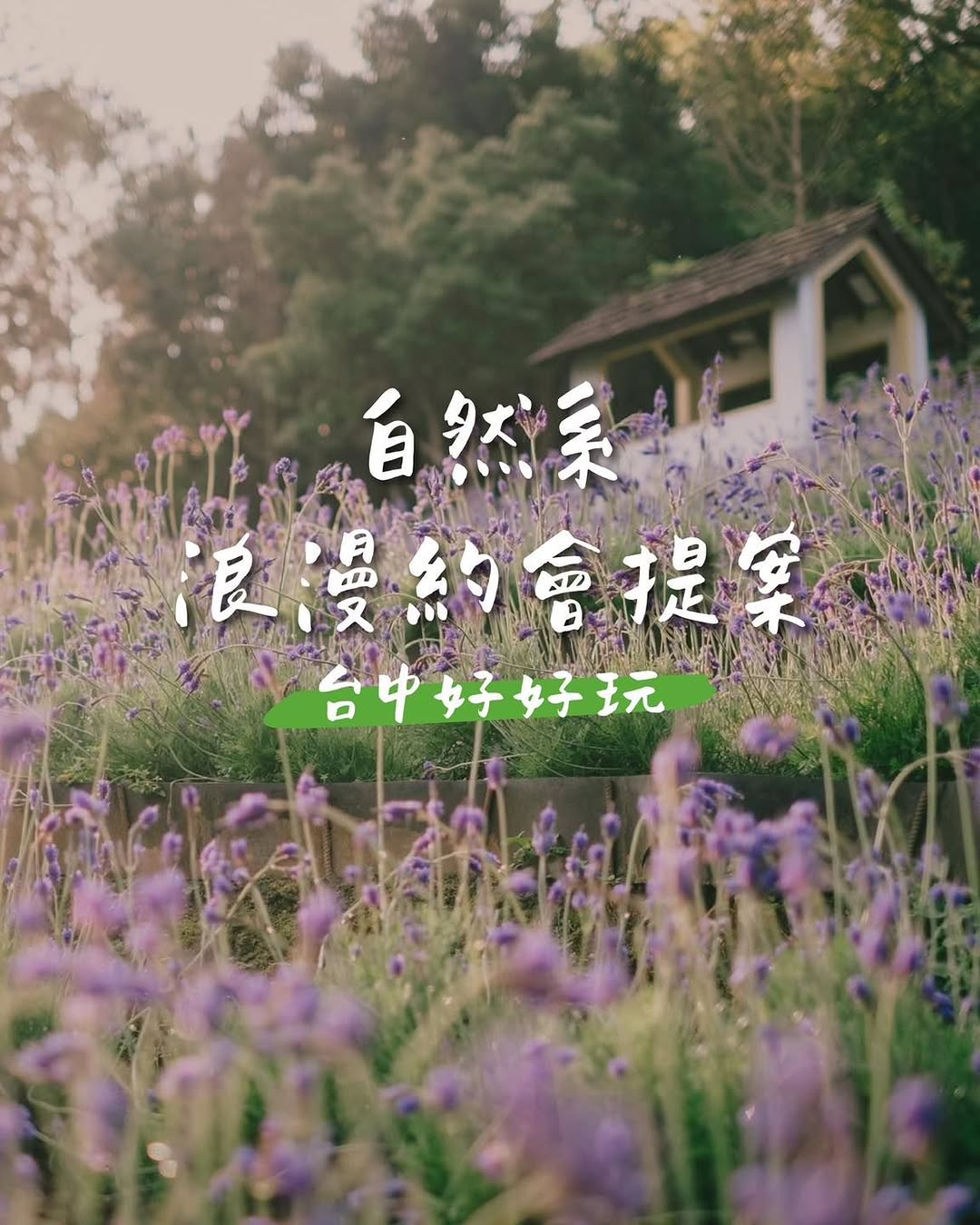 🌿 台中约会提案｜自然系约会地点