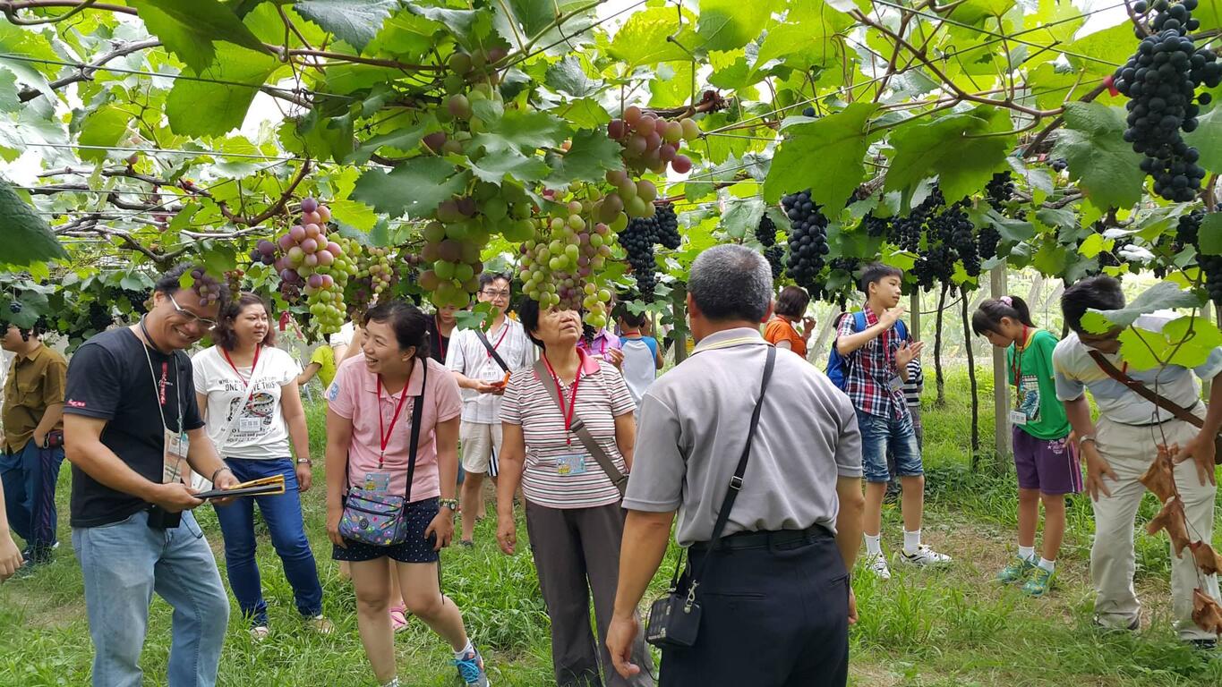 2015臺中市文化專車 悠遊臺中有藝思