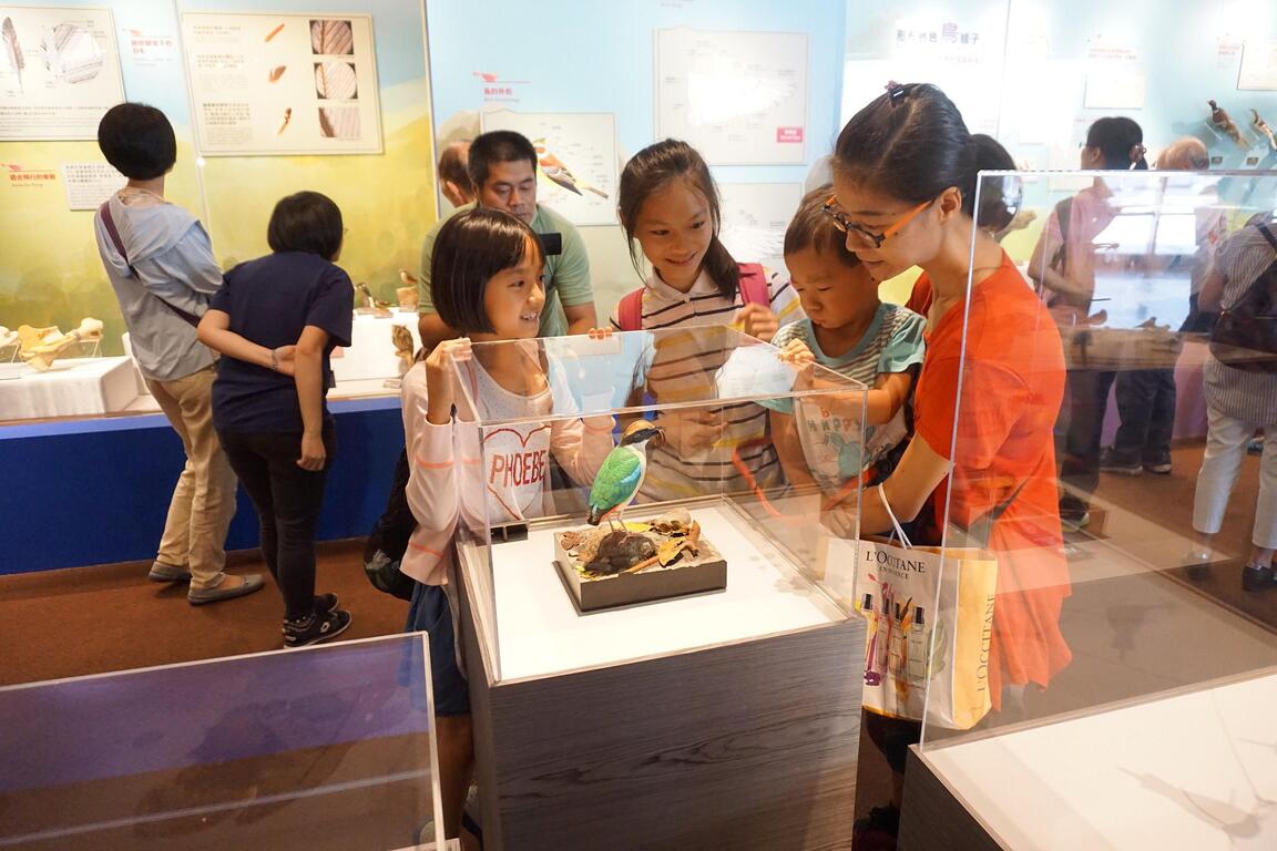 ​快来看！木头变鸟了！ 科博馆「明察秋毫」展野鸟生态木雕-小朋友观赏中