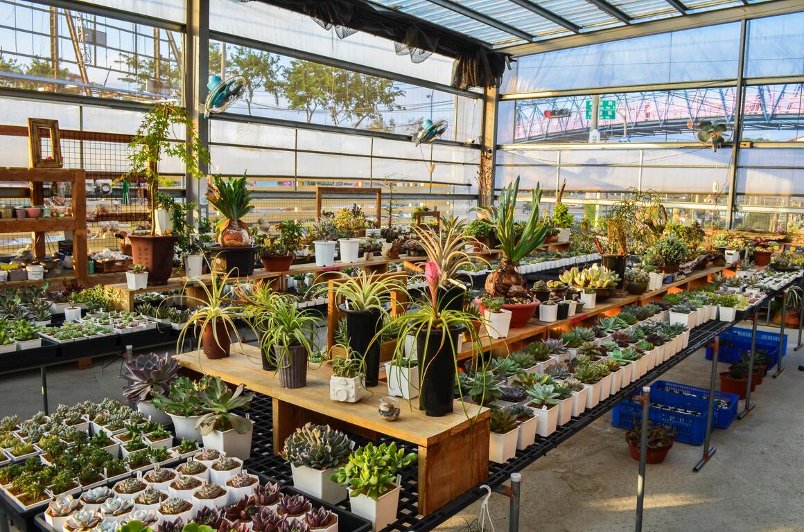 バックパッカーに捧げる定番自転車の旅