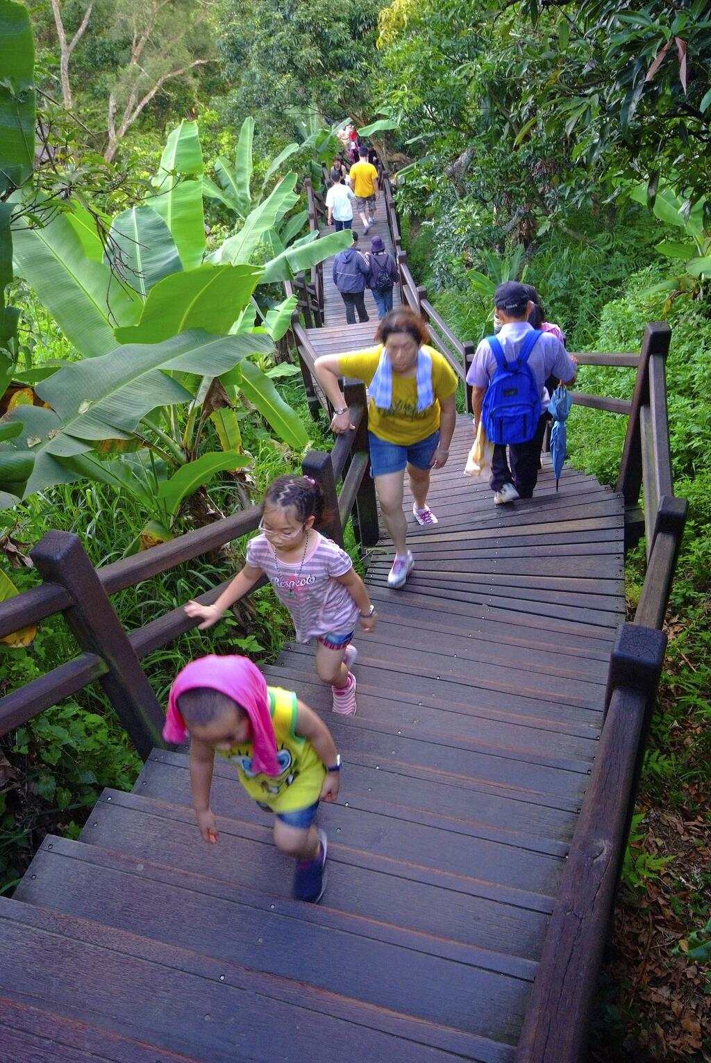 慢遊田園 紫戀薰衣草