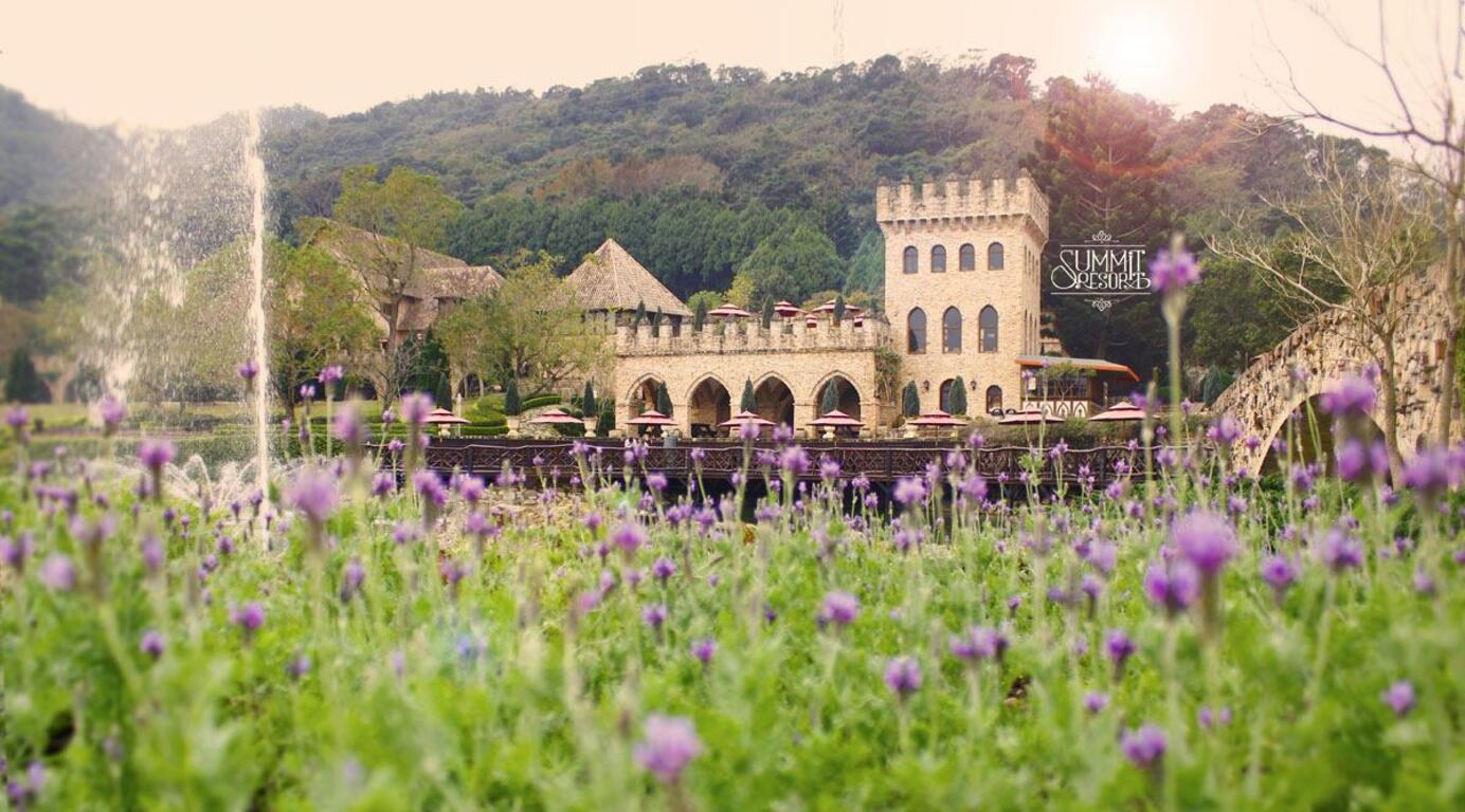 慢遊田園 紫戀薰衣草
