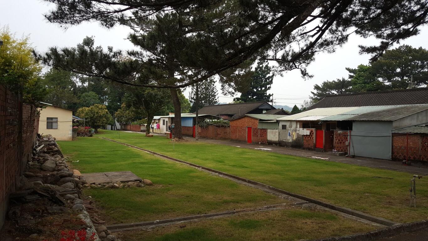 慢遊田園 紫戀薰衣草