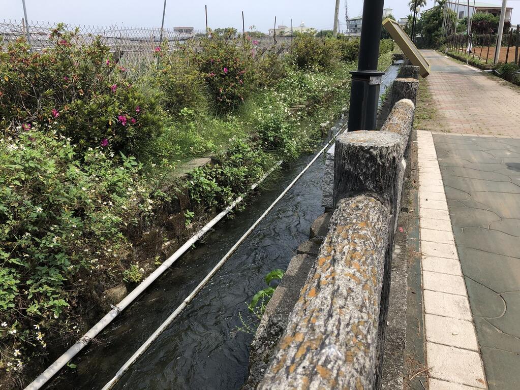 慢遊田園 紫戀薰衣草