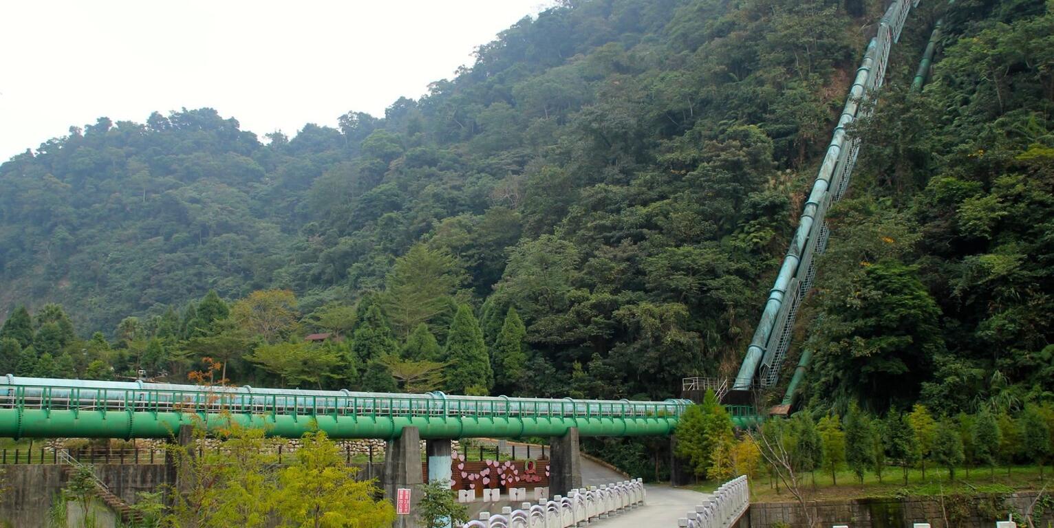 慢遊田園 紫戀薰衣草