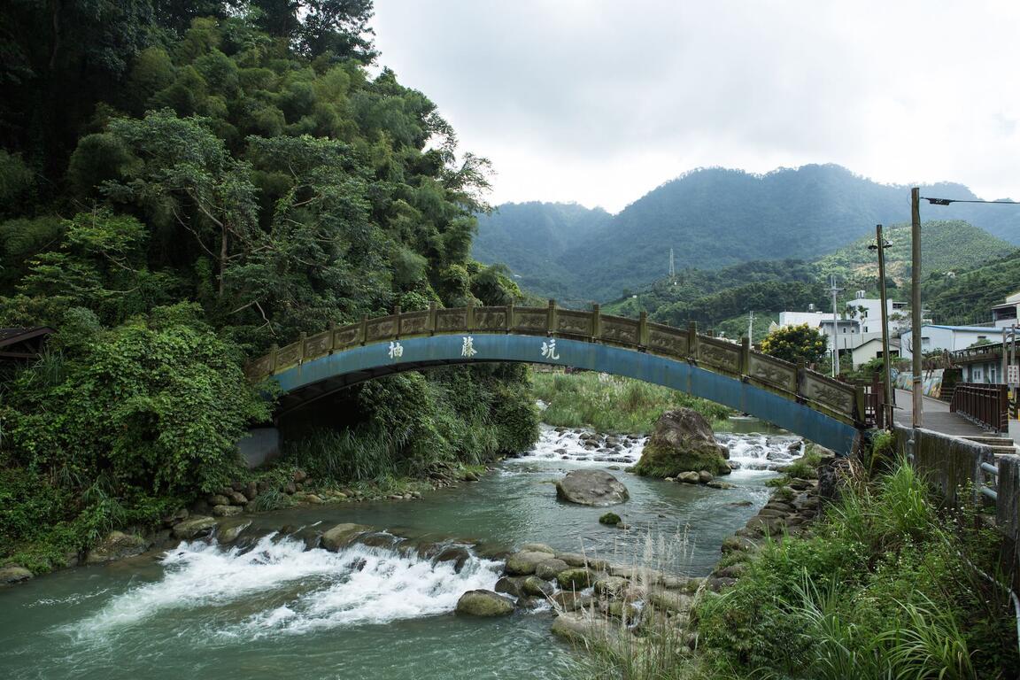 慢遊田園 紫戀薰衣草