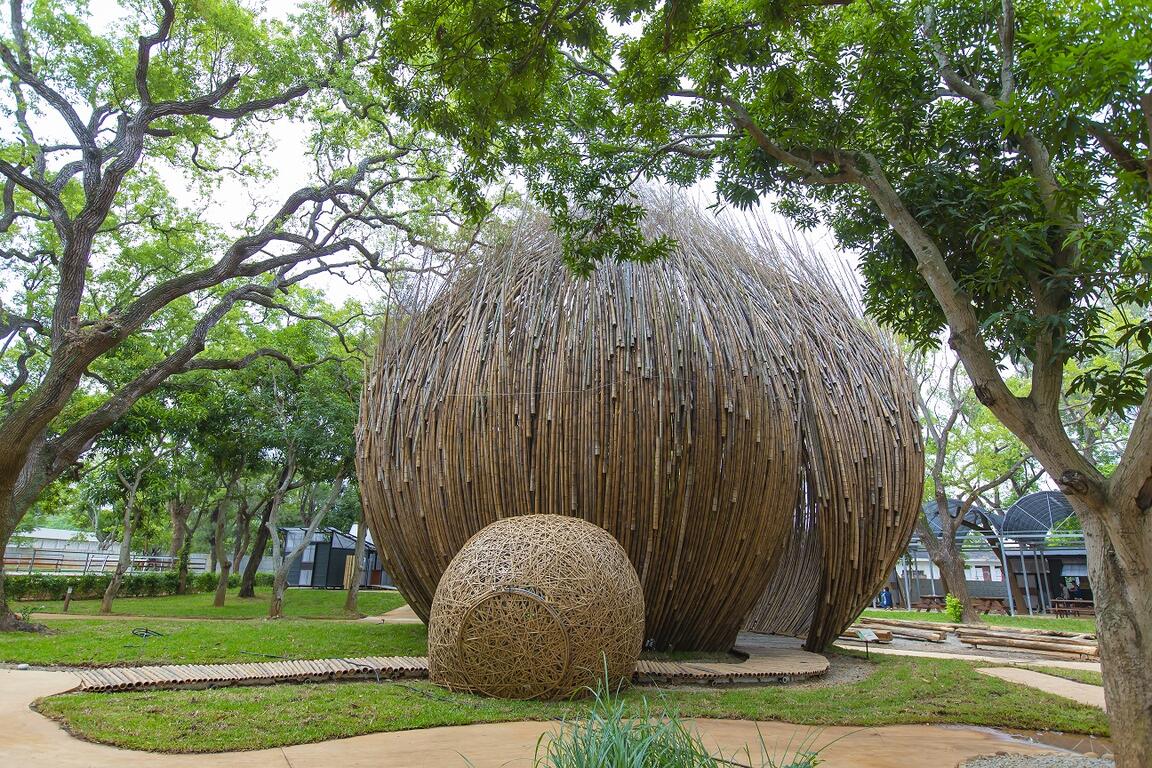 從天上掉下一顆種子