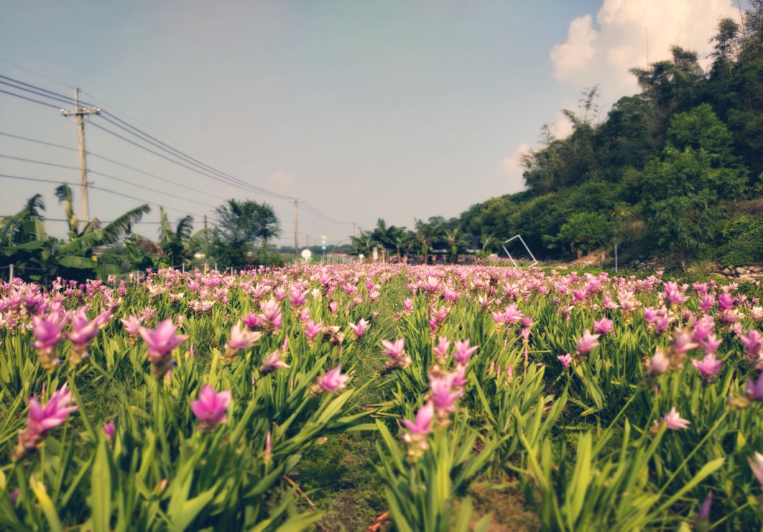 甲安埔一日郊遊趣