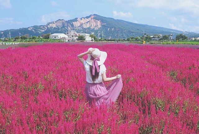 《最潮！台中10大经典打卡点》您都去过了吗?