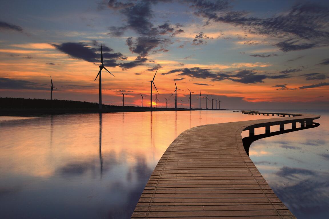 高美湿地-有木栈道