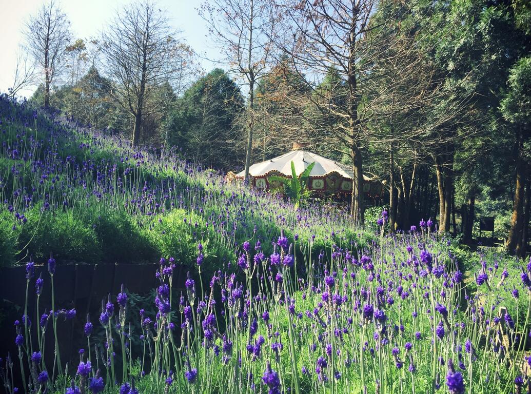 新社＿旋轉木馬