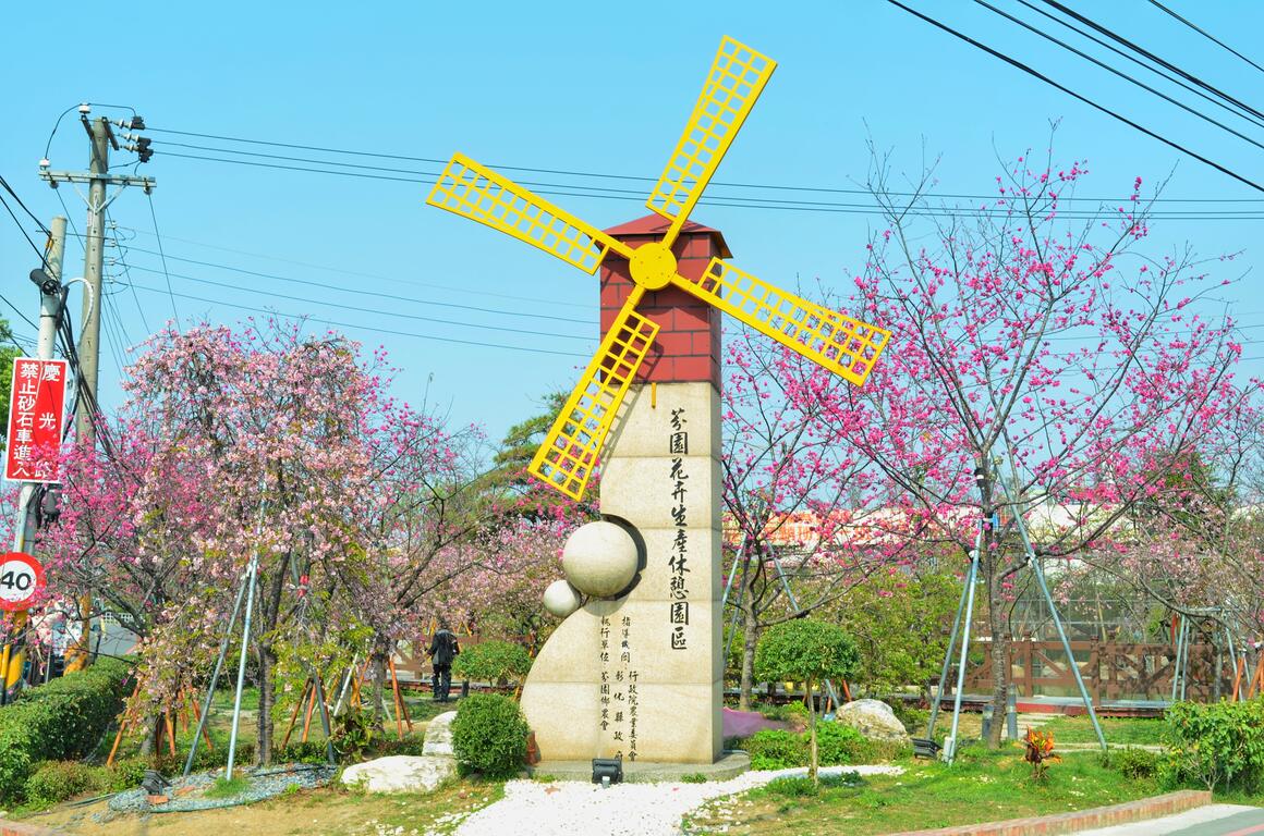 連假來一趟浪漫粉色之旅,台中櫻花景點大公開!