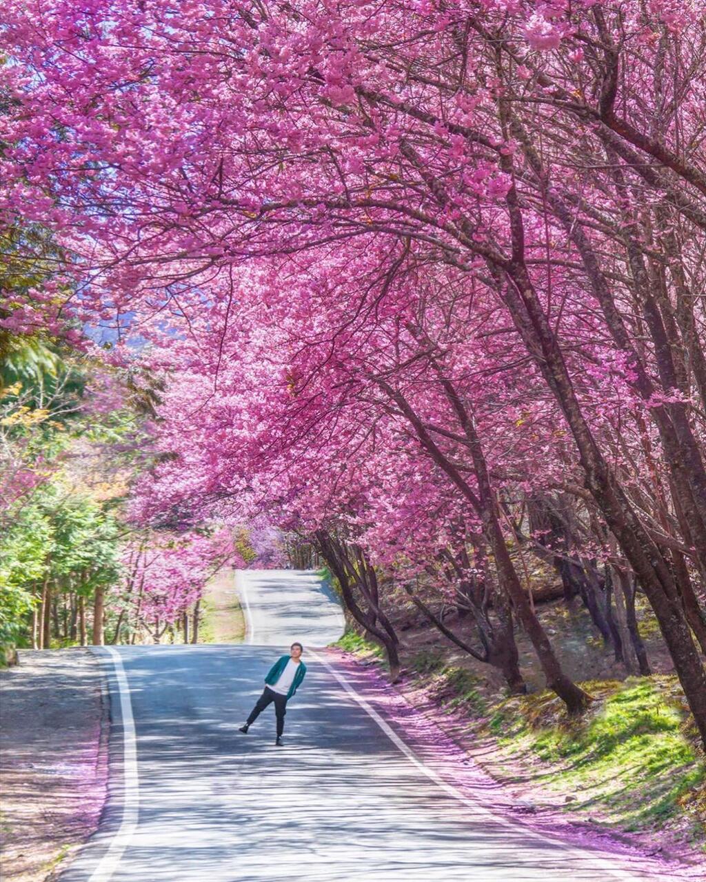 84552867_627919564696388_8989388710621929612_n