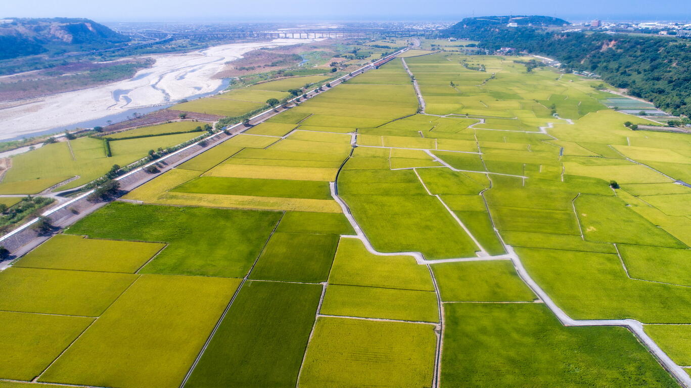 DJI_201910230009_調整大小.jpg