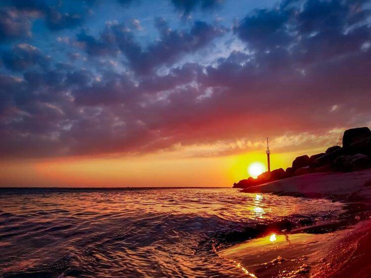 大安龜殼生態公園-圖  IG @shilinhou